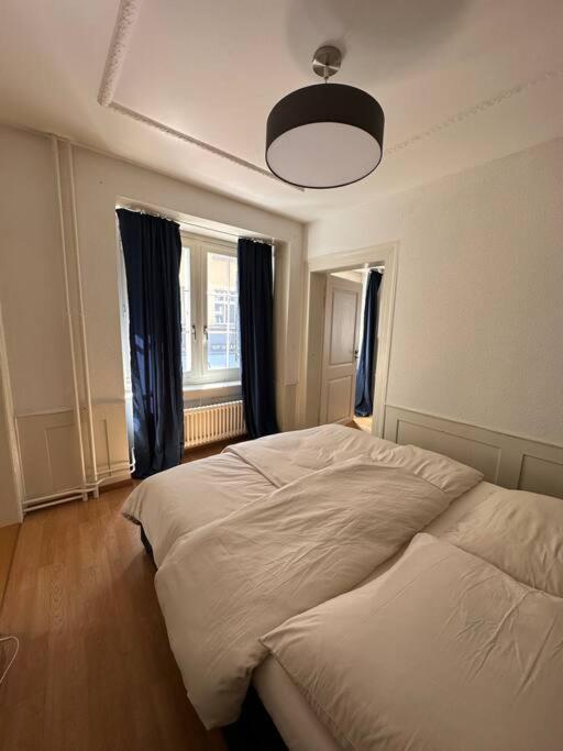 Cozy Apartment In Oldtown Zurich5 Exteriör bild